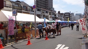 DSC04171.jpg