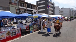 DSC04177.jpg