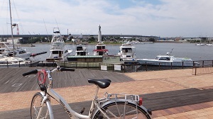 DSC04206.jpg