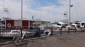 DSC04218.jpg