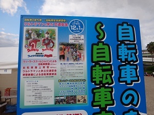 DSC05611.jpg
