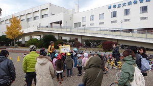 DSC05642.jpg