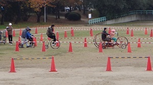 DSC05646.jpg
