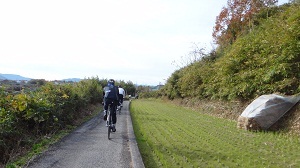 DSC05710.jpg
