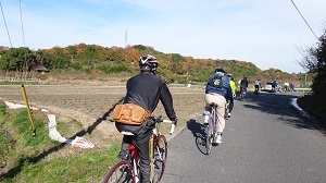 DSC05723.jpg