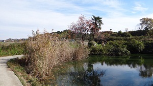DSC05726.jpg