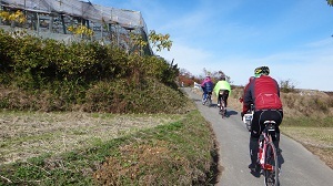 DSC05728.jpg