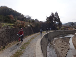 DSC06116.jpg