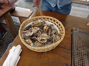 DSC06742.jpg