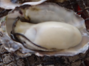 DSC06749.jpg