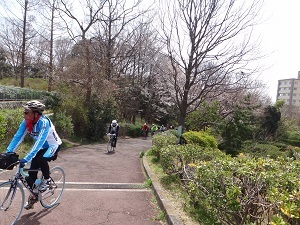 DSC07157.jpg