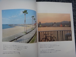 DSC07174.jpg