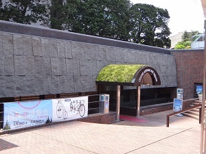 DSC08078.jpg