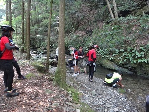 DSC08786.jpg