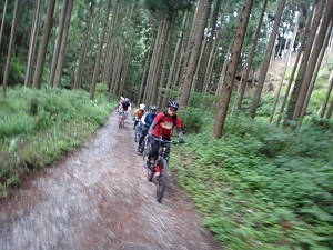 DSC08793.jpg