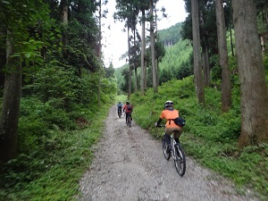 DSC08801.jpg