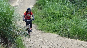 DSC08854.jpg