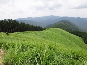 DSC08868.jpg