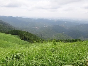 DSC08869.jpg