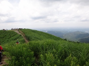 DSC08878.jpg