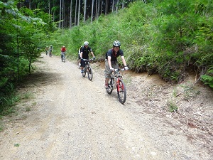DSC08882.jpg