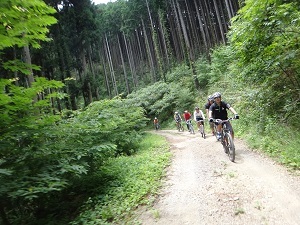 DSC08887.jpg