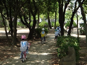DSC09042.jpg