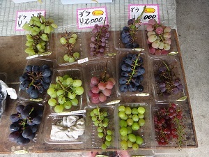 DSC09102.jpg