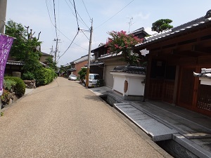 DSC09144.jpg