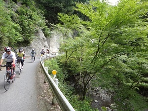 DSC09189.jpg