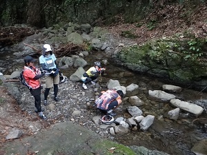 DSC09206.jpg