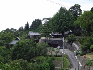 DSC09228.jpg