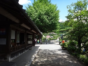 DSC09233.jpg