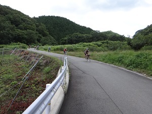 DSC09240.jpg