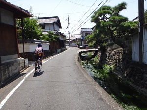 DSC09307.jpg