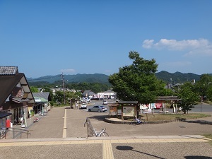 DSC09345.jpg
