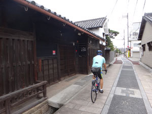 DSC09503.jpg