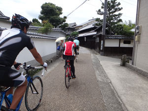 DSC09512.jpg