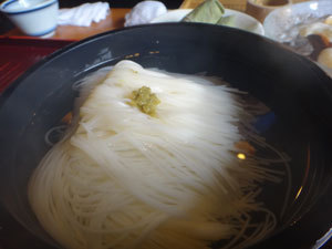 DSC09569.jpg
