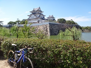 DSC09795.jpg