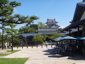 DSC09817.jpg