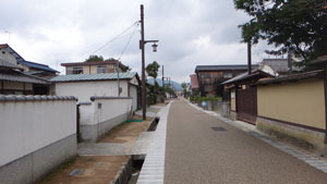 DSC1094.jpg